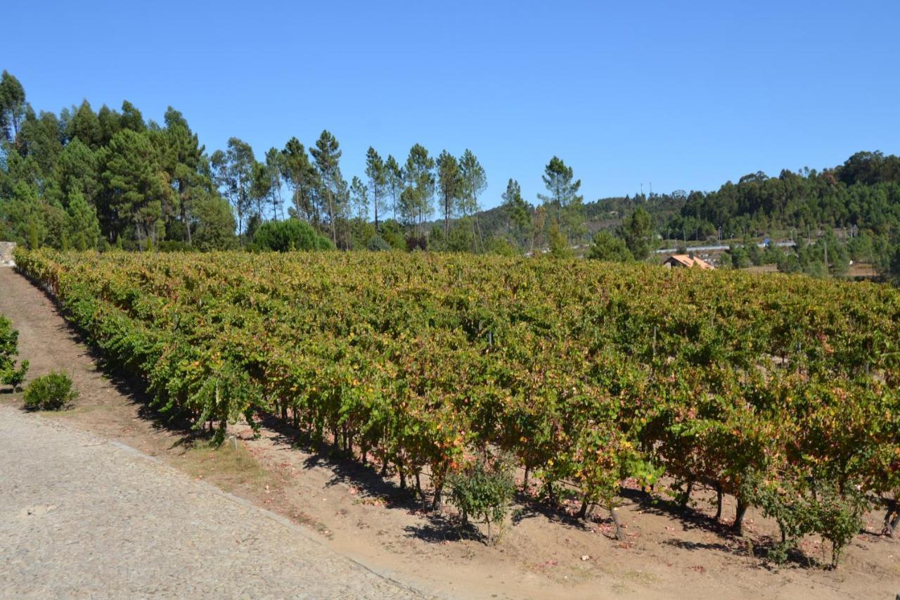 Quinta Do Medronheiro Hotel Rural Viseu Exteriér fotografie