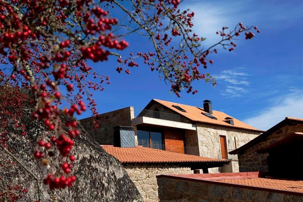 Quinta Do Medronheiro Hotel Rural Viseu Exteriér fotografie
