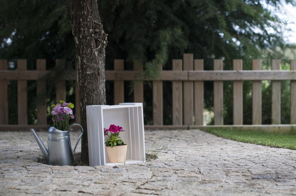 Quinta Do Medronheiro Hotel Rural Viseu Exteriér fotografie